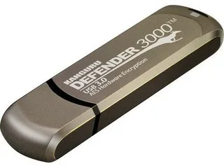 iStorage Kanguru Defender 3000 pamięć USB 256 GB USB Type-C 3.2 Gen 1 (3.1 Gen 1) Szary