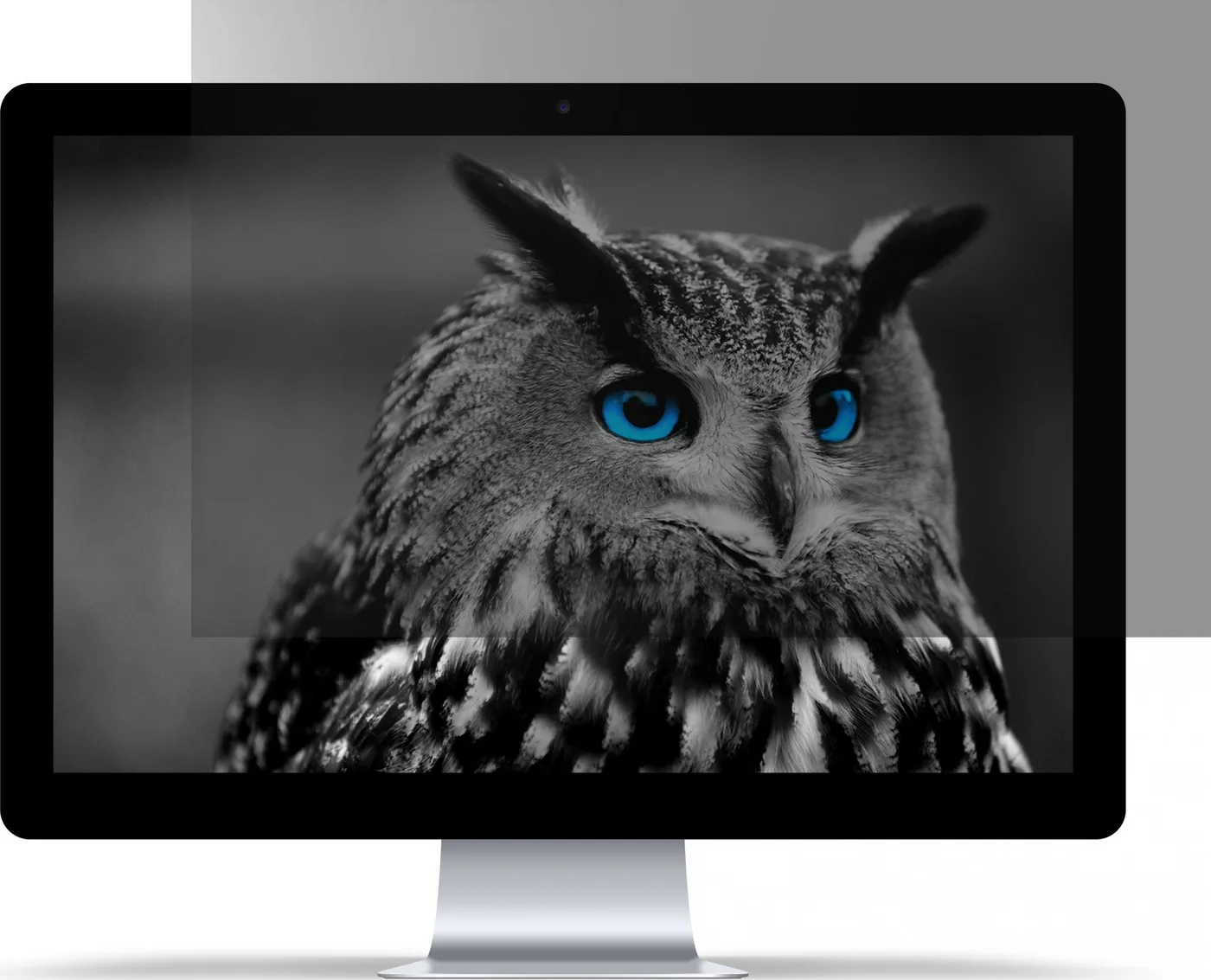 Filtr Natec OWL 27" prywatyzujący (NFP-2118)