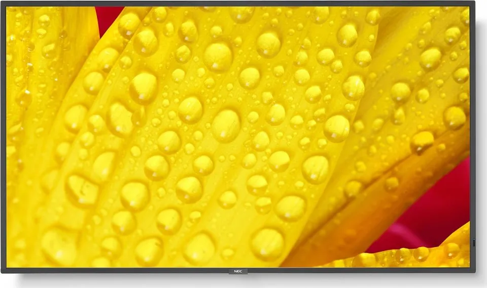 Monitor NEC MultiSync ME431 (60005048)