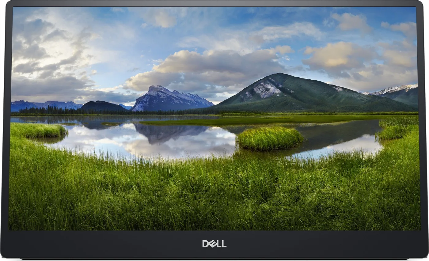 Monitor Dell Przenośny P1424H (210-BHQQ)