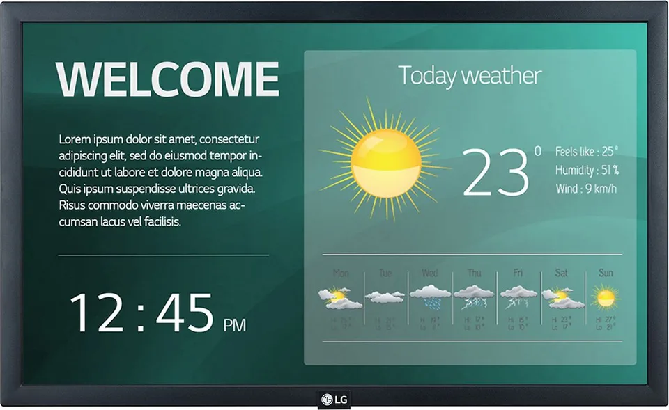Monitor LG 22SM3G-B