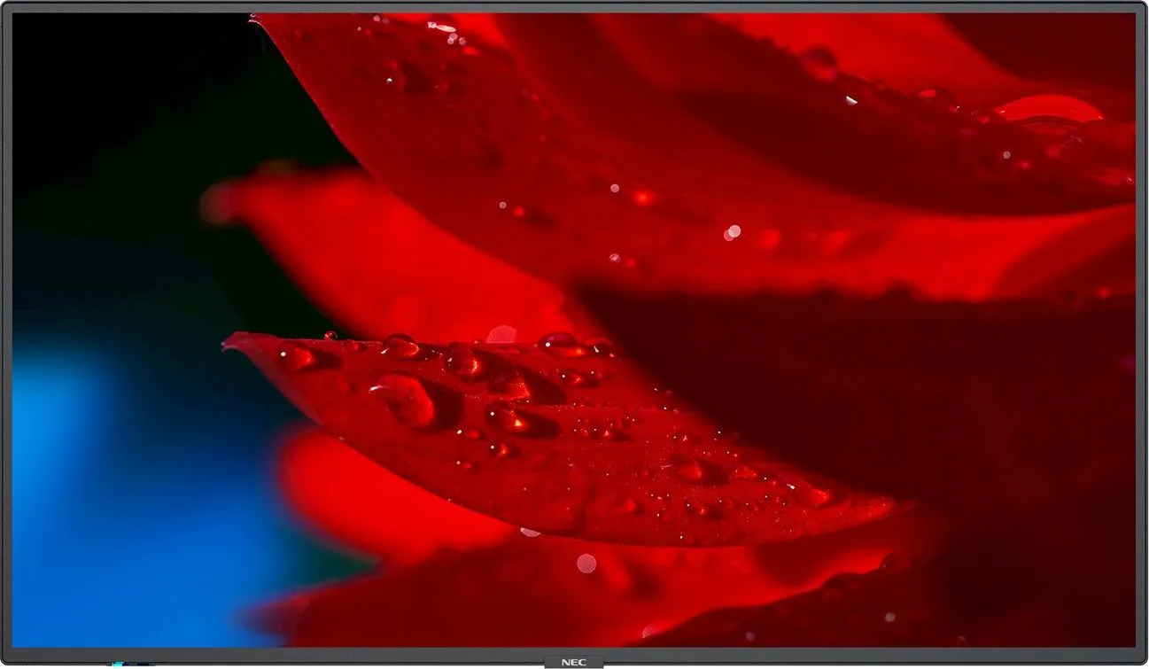 Monitor NEC MultiSync MA551 (60005056)