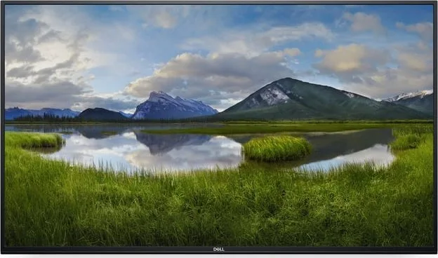 Monitor Dell P5524Q (210-BJKC)