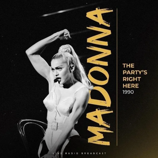 The party is right here - Płyta winylowa