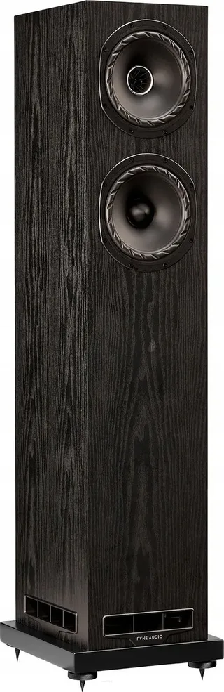 FyneAudio F501E