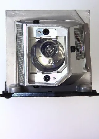 Lampa Optoma Oryginalna Lampa Do OPTOMA EX521 Projektor - SP.8LG01GC01