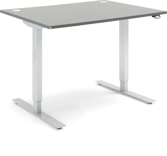 Biurko ECOabc Flexus Szare 120 cm x 80 cm