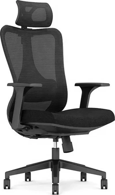 Krzesło biurowe DM Ergonomiczne krzesło obrotowe do biura (FRIDA)