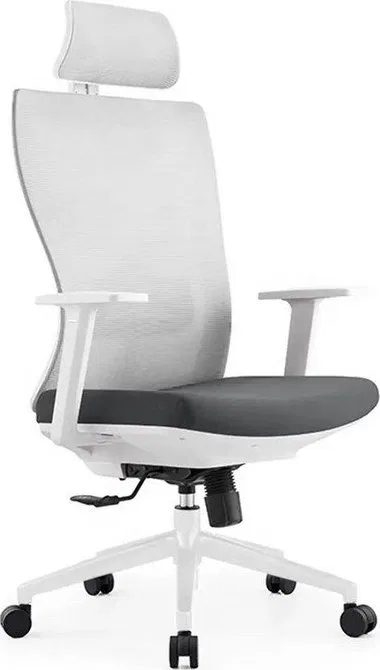 Krzesło biurowe DM Ergonomiczne krzesło obrotowe do biura (ELSA)