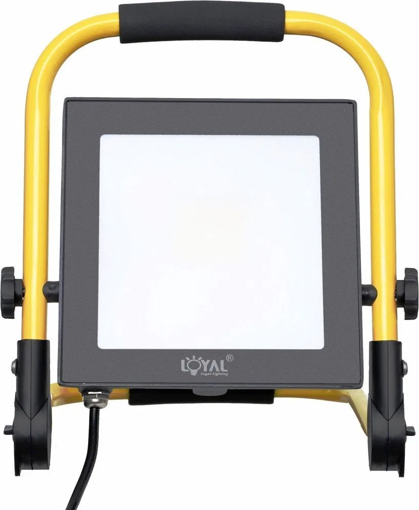 Loyal Lighting Lampa naświetlacz przenośny LED na stojaku z wtyczką 30W