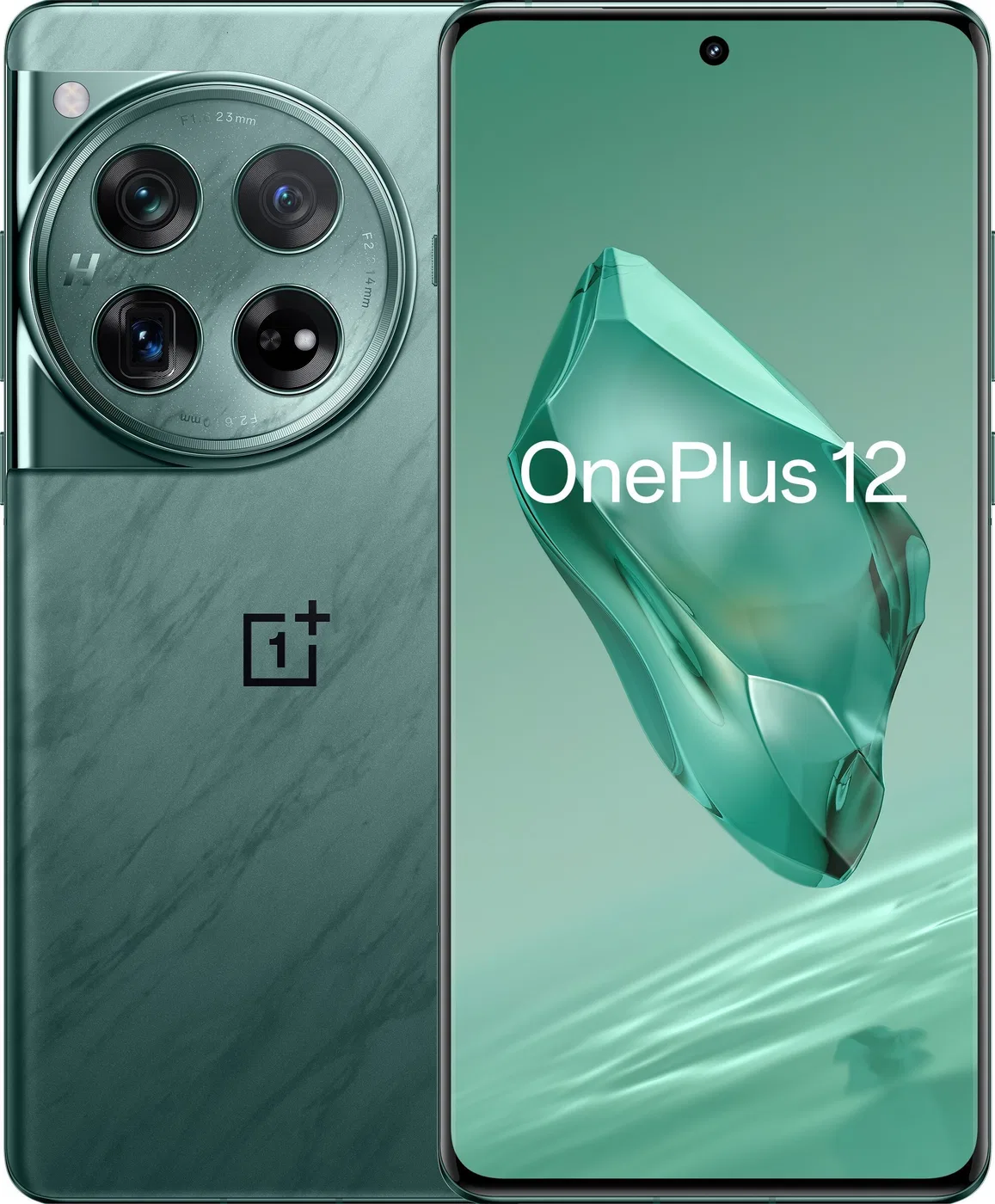 Smartfon OnePlus 12 5G 12/256GB Czarny (5011105292)