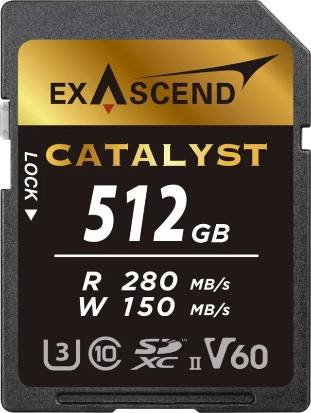 Karta ExAscend Catalyst SDXC 256 GB Class 10 UHS-I/U3 V30 (EX256GSDU1)